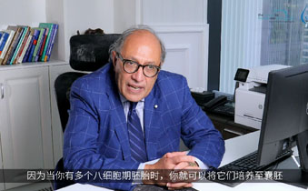 试管婴儿成功率